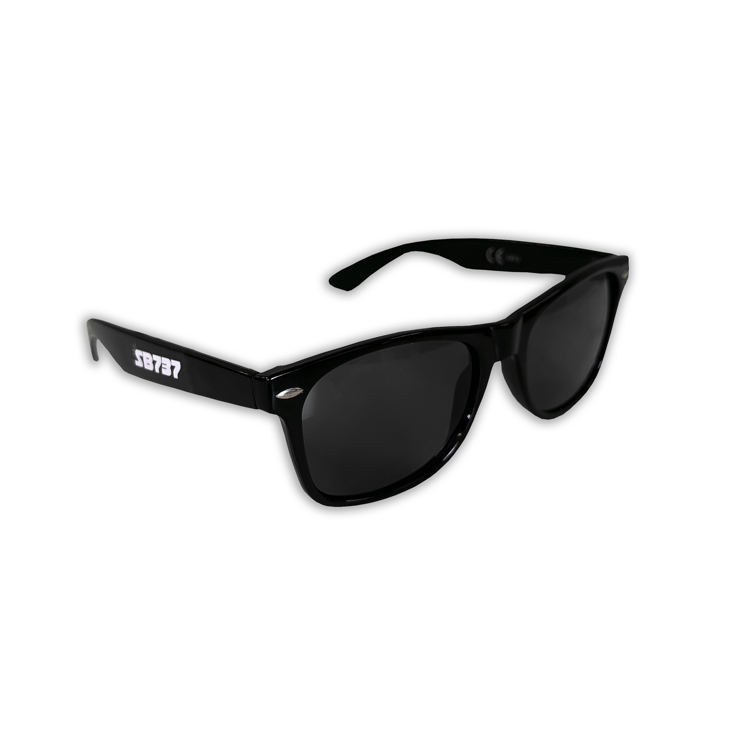 SB737 Sunbeam Logo Sunglasses